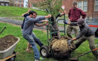 Spotlight on New Sustainability Initiatives