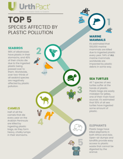 5 Species Effected by Plastic