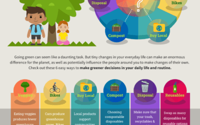 6 Easy Ways to Go Green