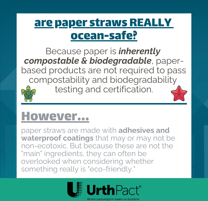Are Paper Straws Really Ocean-Safe?