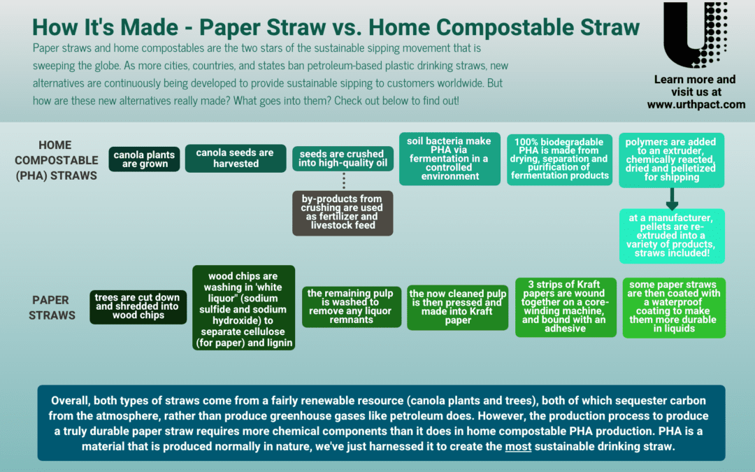 How It’s Made – Paper vs. PHA