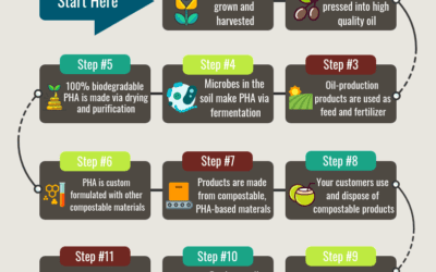 Lifecycle of PHA