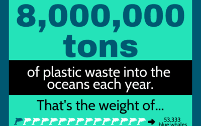 Marine Plastic Pollution Stats
