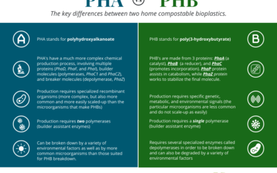 PHA vs. PHB