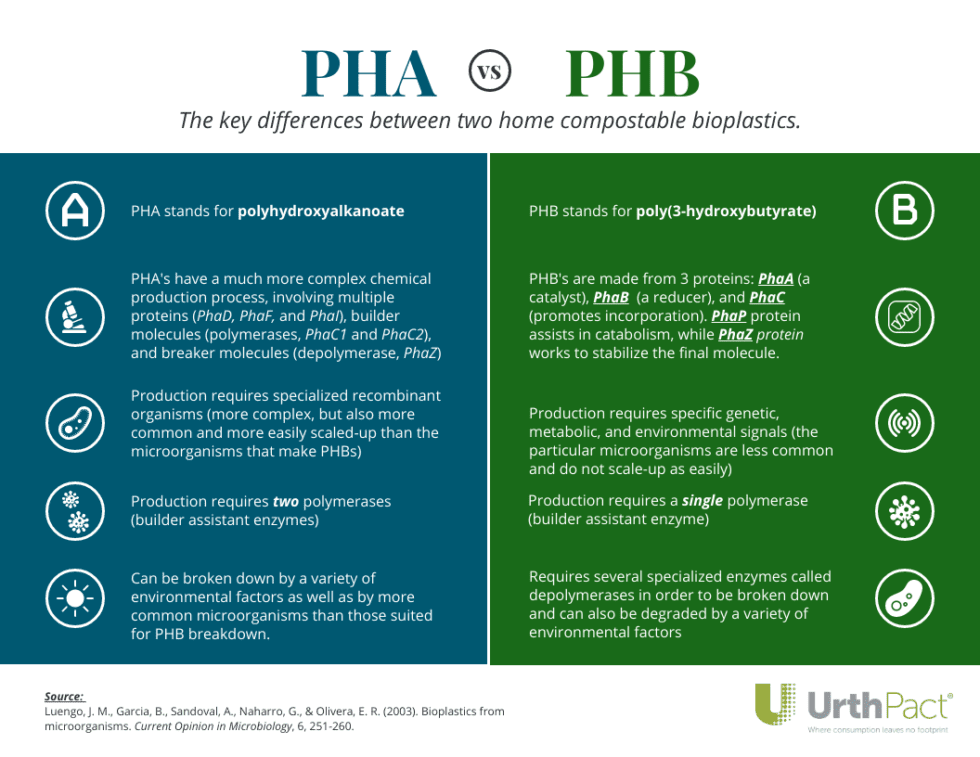 pha 12 b2