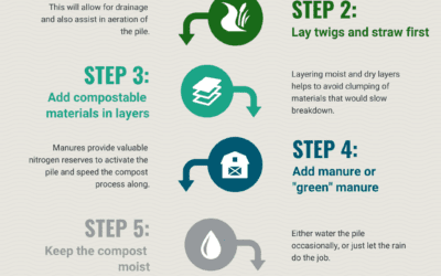 Setup a Compost Pile