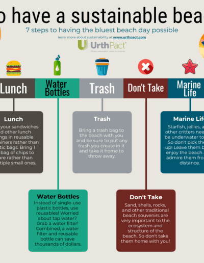 Sustainable Beach Day