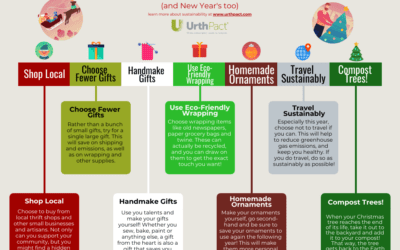 Sustainable Christmas