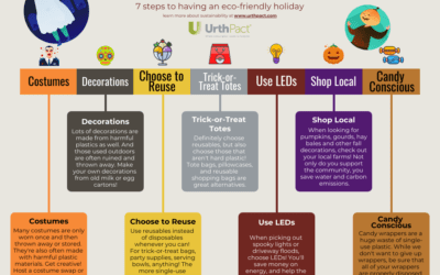 Sustainable Halloween