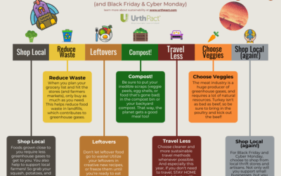 Sustainable Thanksgiving