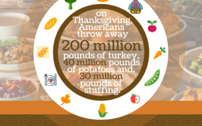 Thanksgiving Stat