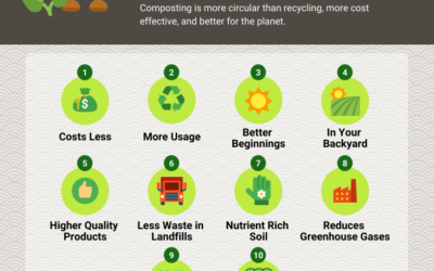 Top 10 Reasons Why Compost is Better than Recycling
