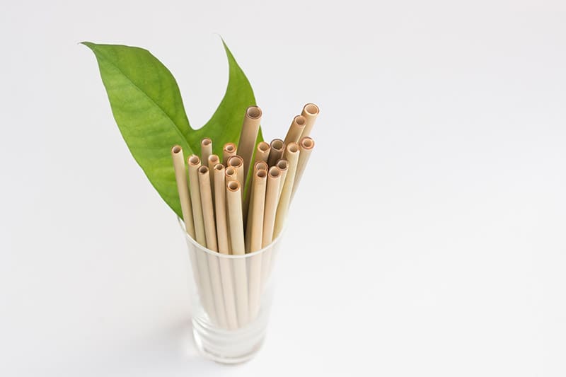 bamboo straws