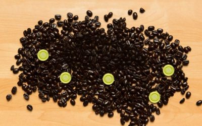 Elevate Your Coffee Packaging with One-Way Degassing Valves from evalv®