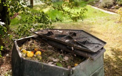 Compost 101: The What, The How, and The Why