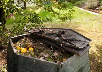 Compost 101: The What, The How, and The Why