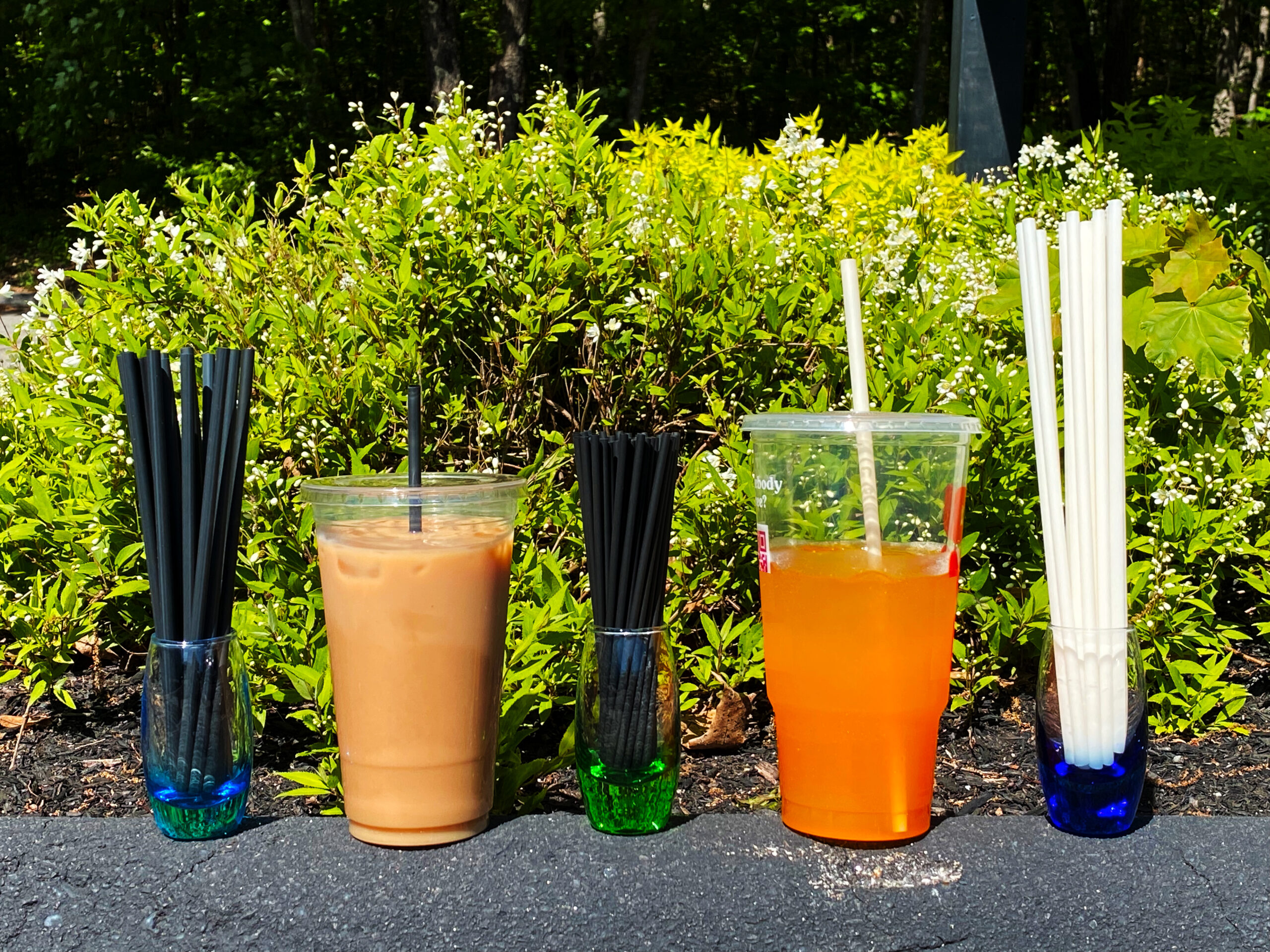 A row of cups sitting on a stone wall. The cups contain compostable, sustainable, plant-based straws produced by UrthPact.