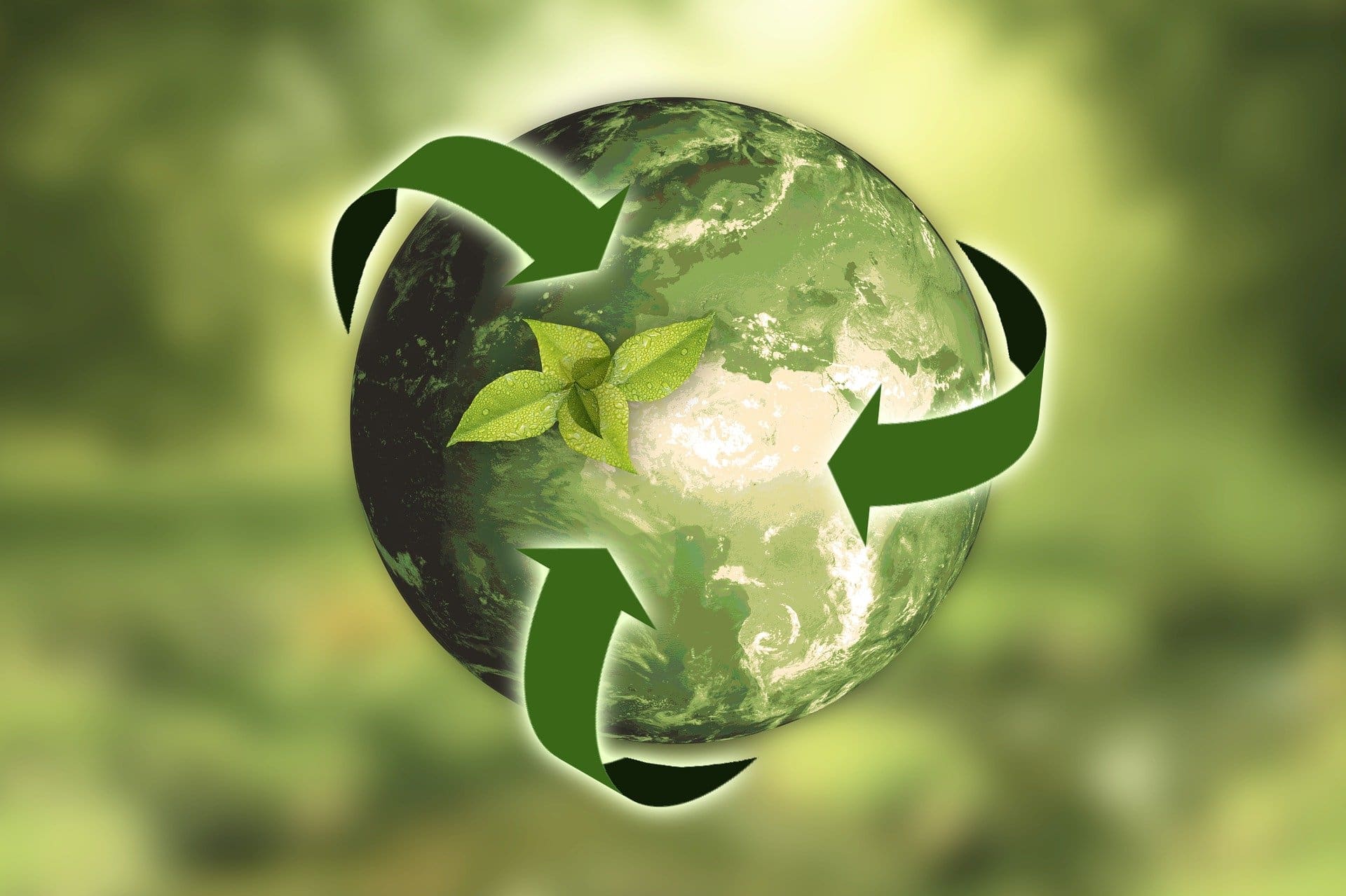 How a Compostable Lifecycle Benefits the Planet
