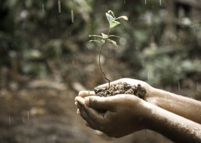 How Different Methods of Compost Benefit a Sustainable Future