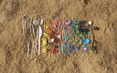 Innovative Materials Solve Plastic Pollution