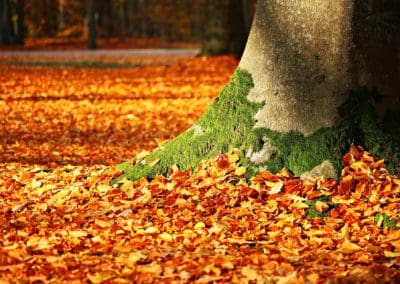 Join Mother Nature and UrthPact in the Season of Change