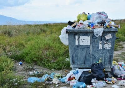 From Pollution to Solution: How Compostable Bioplastics Are Shaping Our Future