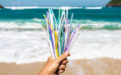 We Need More than Bans to Solve the Plastic Pollution Problem