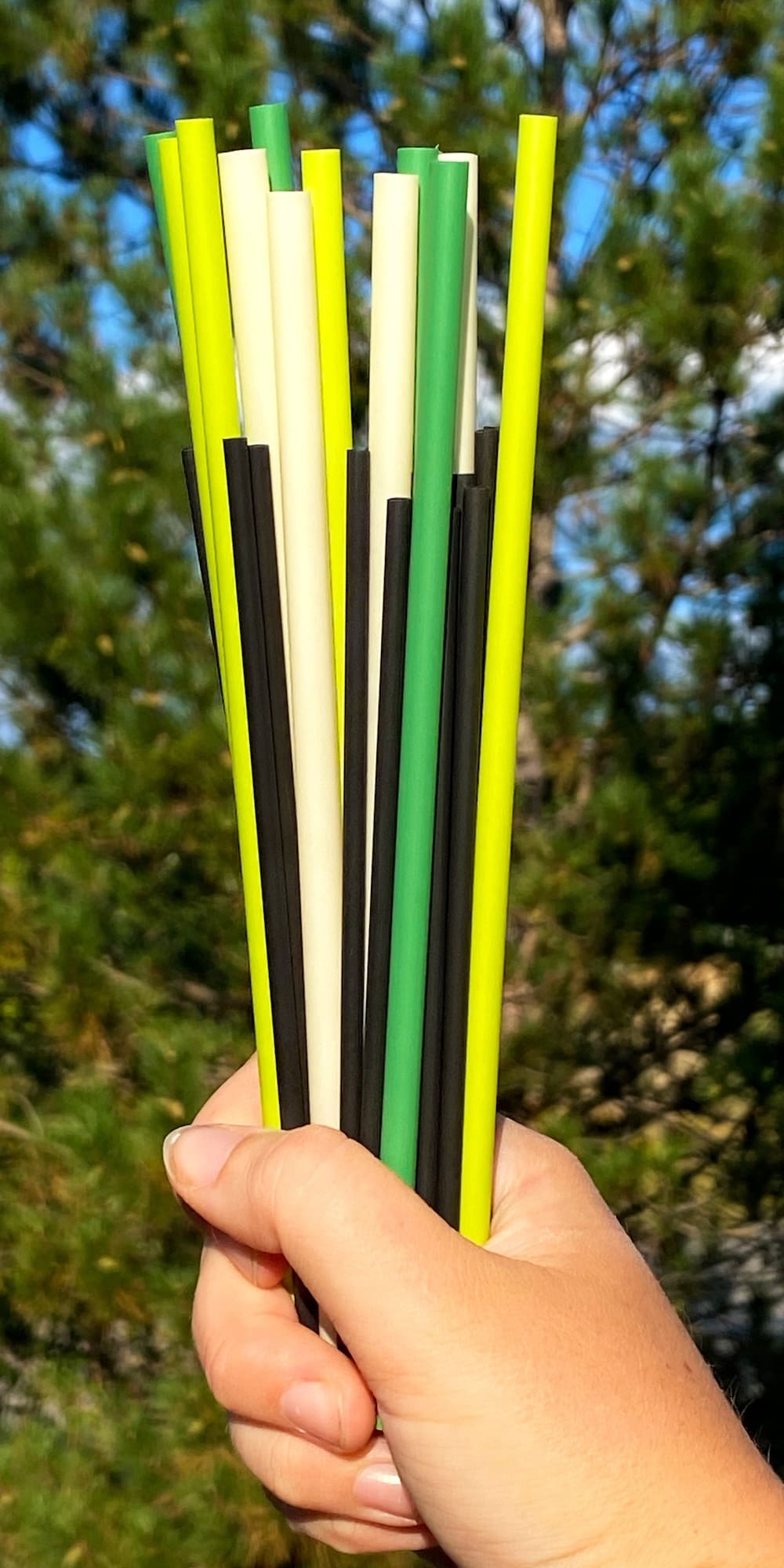 A hand holding a bundle of green, black, and white compostable straws.