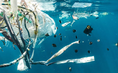 Why It Is So Important to Protect the Planet from Plastic