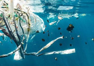 Why It Is So Important to Protect the Planet from Plastic
