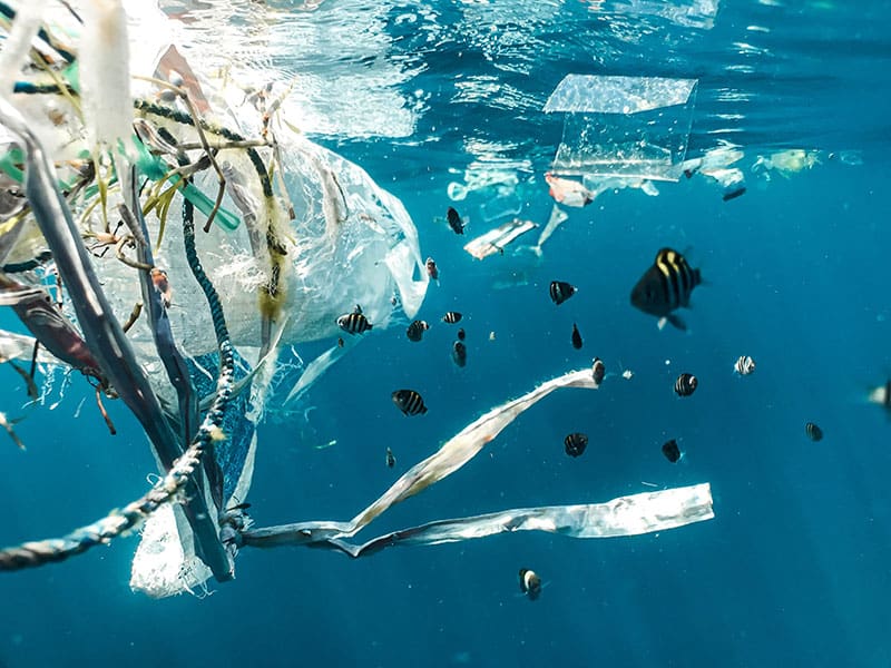 Why It Is So Important to Protect the Planet from Plastic